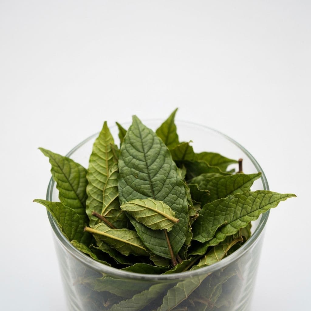 Green Indo